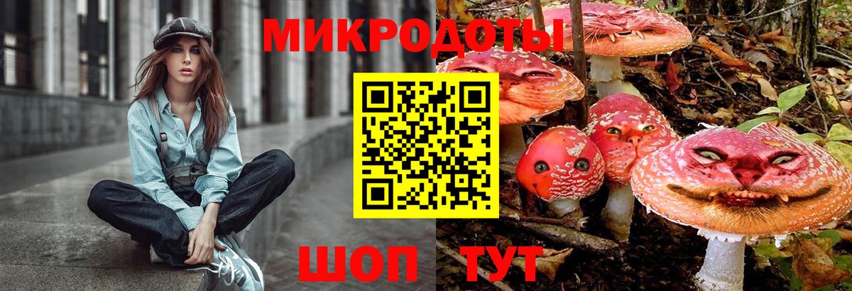 Псилоцибиновые грибы Psilocybine cubensis  Галлюциногенные грибы Psilocybe  Вход с VPN  Сальск 